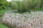 IMG_5993.JPG